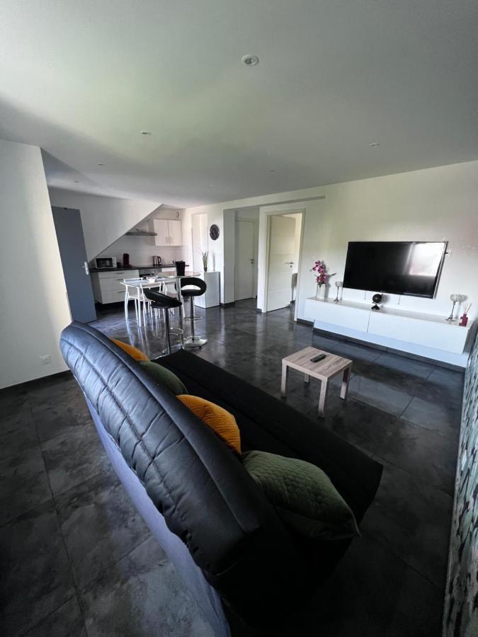 Superbe Appartement Danjoutin Zewnętrze zdjęcie