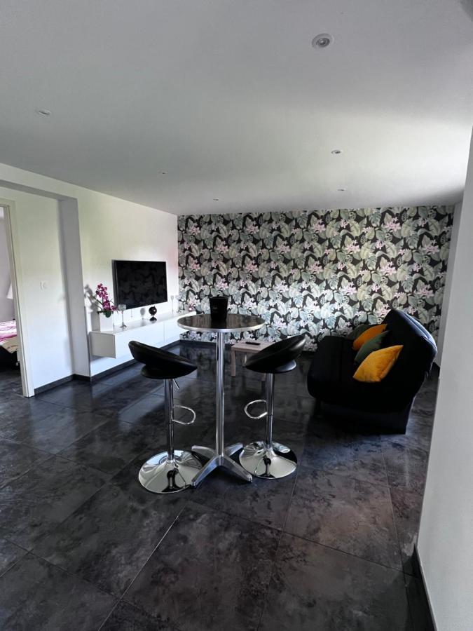 Superbe Appartement Danjoutin Zewnętrze zdjęcie