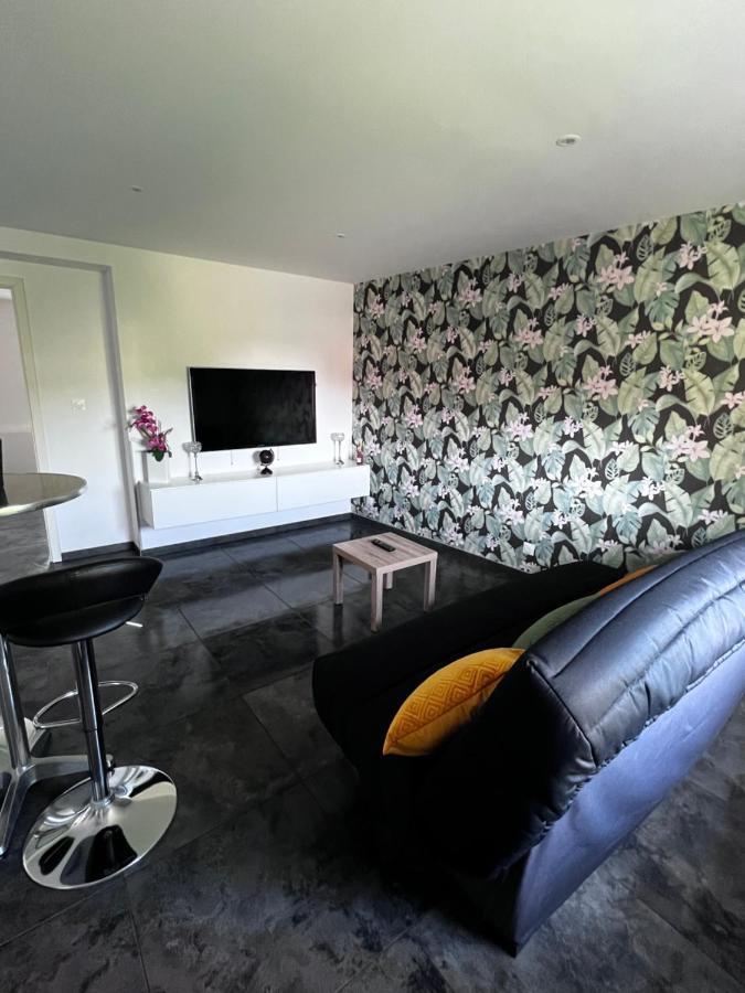 Superbe Appartement Danjoutin Zewnętrze zdjęcie